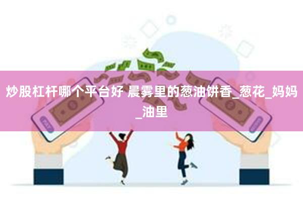 炒股杠杆哪个平台好 晨雾里的葱油饼香_葱花_妈妈_油里