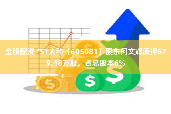 金股配资 *ST太和（605081）股东何文辉质押679.48万股，占总股本6%