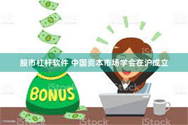 股市杠杆软件 中国资本市场学会在沪成立