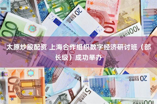 太原炒股配资 上海合作组织数字经济研讨班（部长级）成功举办