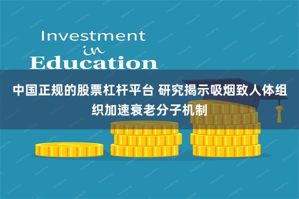 中国正规的股票杠杆平台 研究揭示吸烟致人体组织加速衰老分子机制