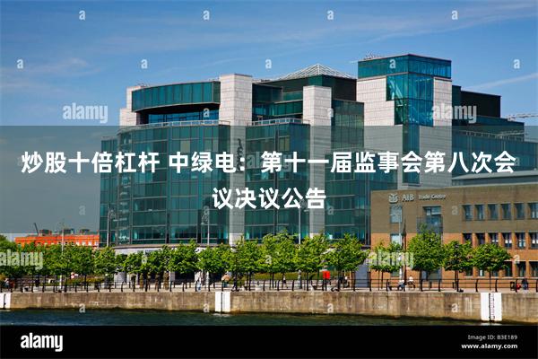 炒股十倍杠杆 中绿电：第十一届监事会第八次会议决议公告