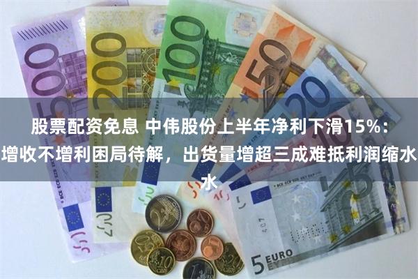 股票配资免息 中伟股份上半年净利下滑15%：增收不增利困局待解，出货量增超三成难抵利润缩水