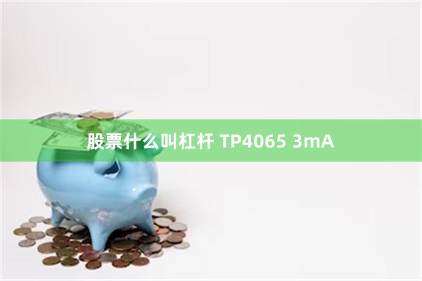 股票什么叫杠杆 TP4065 3mA