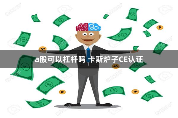 a股可以杠杆吗 卡斯炉子CE认证