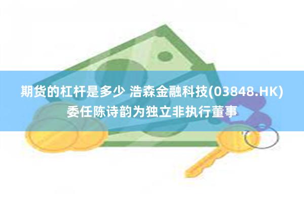 期货的杠杆是多少 浩森金融科技(03848.HK)委任陈诗韵为独立非执行董事