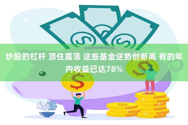 炒股的杠杆 顶住震荡 这些基金逆势创新高 有的年内收益已达78%