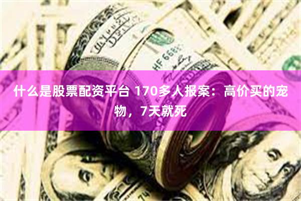 什么是股票配资平台 170多人报案：高价买的宠物，7天就死