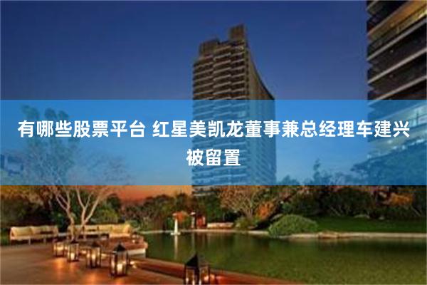 有哪些股票平台 红星美凯龙董事兼总经理车建兴被留置