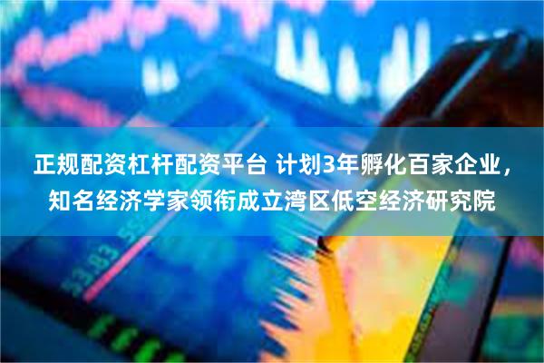 正规配资杠杆配资平台 计划3年孵化百家企业，知名经济学家领衔成立湾区低空经济研究院