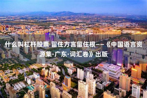 什么叫杠杆股票 留住方言留住根——《中国语言资源集·广东·词汇卷》出版