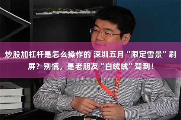 炒股加杠杆是怎么操作的 深圳五月“限定雪景”刷屏？别慌，是老朋友“白绒绒”驾到！