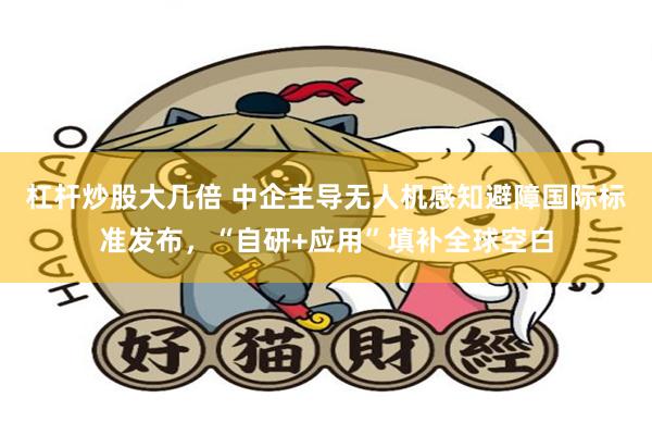 杠杆炒股大几倍 中企主导无人机感知避障国际标准发布，“自研+应用”填补全球空白