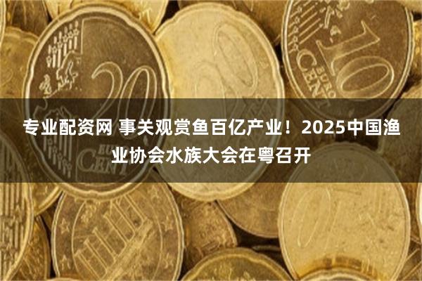 专业配资网 事关观赏鱼百亿产业！2025中国渔业协会水族大会在粤召开