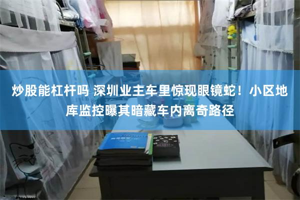 炒股能杠杆吗 深圳业主车里惊现眼镜蛇！小区地库监控曝其暗藏车内离奇路径
