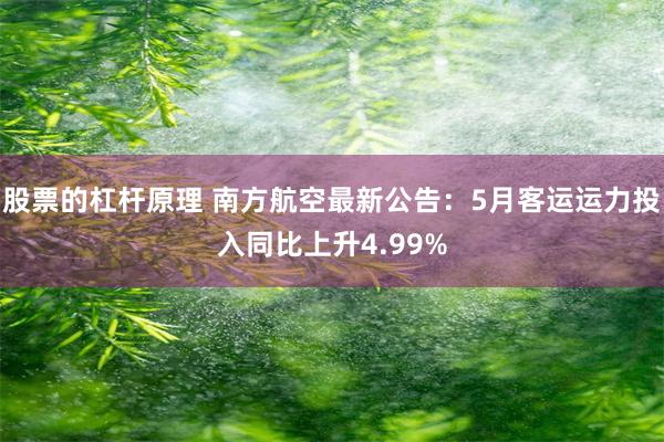 股票的杠杆原理 南方航空最新公告：5月客运运力投入同比上升4.99%