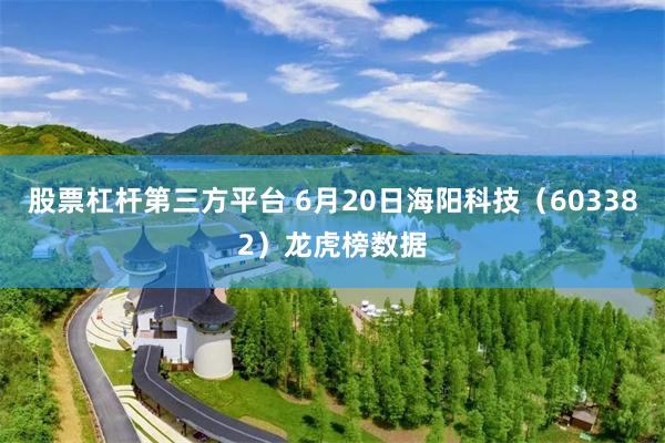 股票杠杆第三方平台 6月20日海阳科技（603382）龙虎榜数据