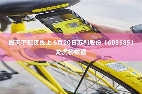 股天下配资线上 6月20日苏利股份（603585）龙虎榜数据