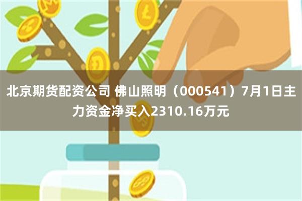北京期货配资公司 佛山照明(000541)7月1日主力资金净买入2310.16万元