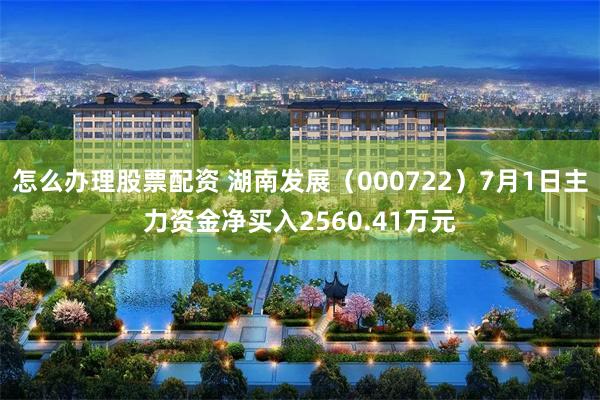 怎么办理股票配资 湖南发展（000722）7月1日主力资金净买入2560.41万元