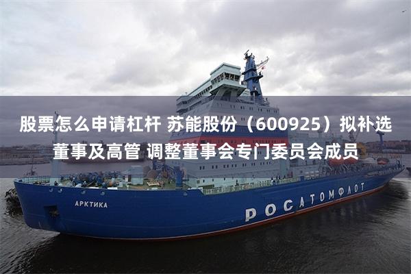 股票怎么申请杠杆 苏能股份（600925）拟补选董事及高管 调整董事会专门委员会成员