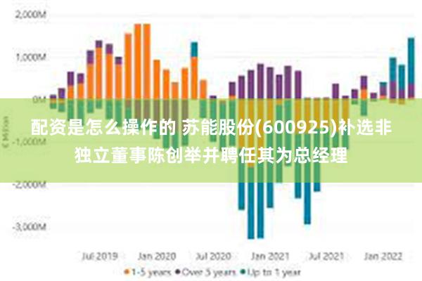 配资是怎么操作的 苏能股份(600925)补选非独立董事陈创举并聘任其为总经理