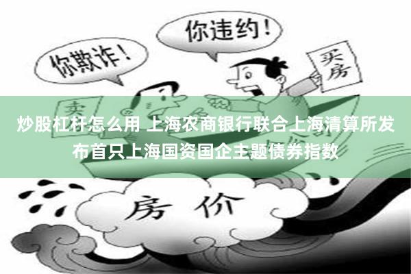 炒股杠杆怎么用 上海农商银行联合上海清算所发布首只上海国资国企主题债券指数