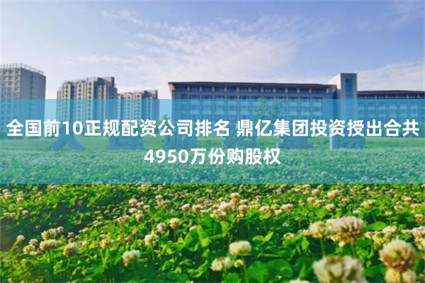 全国前10正规配资公司排名 鼎亿集团投资授出合共4950万份购股权