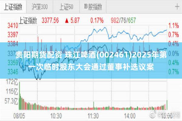 贵阳期货配资 珠江啤酒(002461)2025年第一次临时股东大会通过董事补选议案