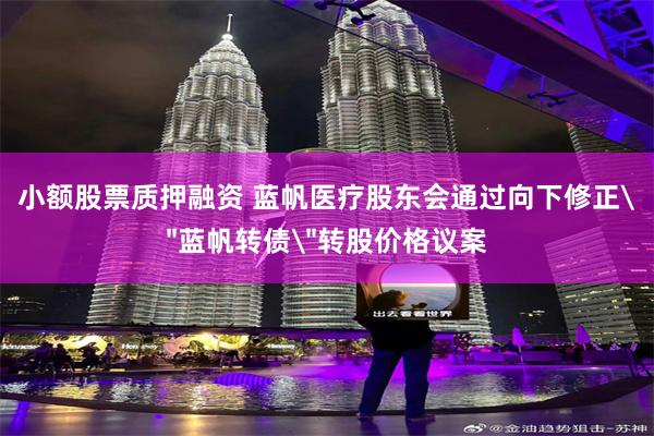 小额股票质押融资 蓝帆医疗股东会通过向下修正