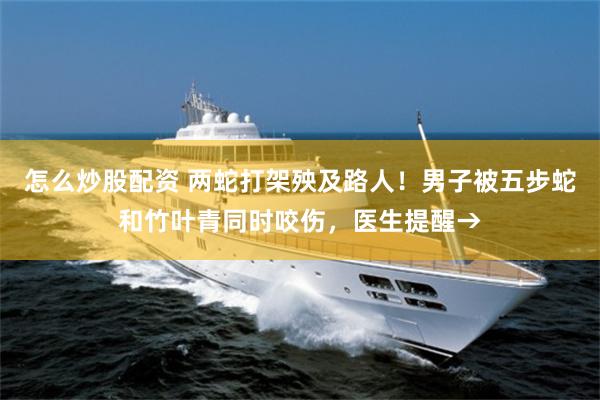 怎么炒股配资 两蛇打架殃及路人！男子被五步蛇和竹叶青同时咬伤，医生提醒→