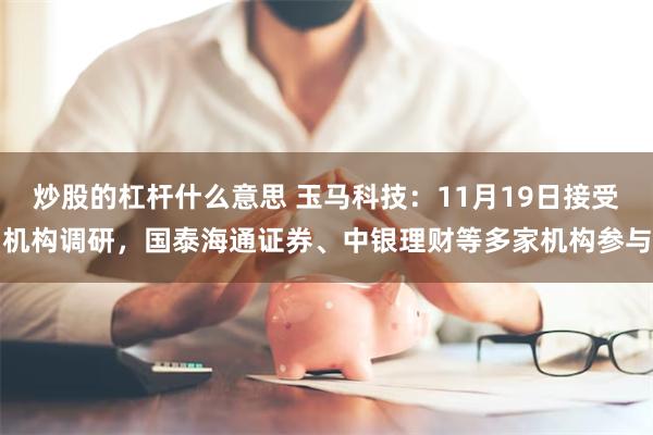 炒股的杠杆什么意思 玉马科技:11月19日接受机构调研,国泰海通证券、中银理财等多家机构参与