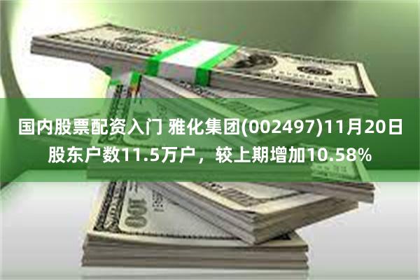 国内股票配资入门 雅化集团(002497)11月20日股东户数11.5万户，较上期增加10.58%