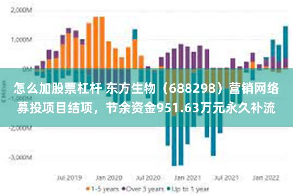 怎么加股票杠杆 东方生物（688298）营销网络募投项目结项，节余资金951.63万元永久补流