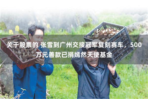关于股票的 张雪到广州交接冠军复刻赛车，500万元善款已捐嫣然天使基金