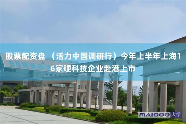 股票配资盘 (活力中国调研行)今年上半年上海16家硬科技企业赴港上市