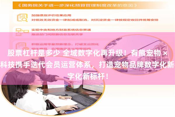 股票杠杆是多少 全域数字化再升级！有熊宠物 × 慧博科技携手迭代会员运营体系，打造宠物品牌数字化新标杆！