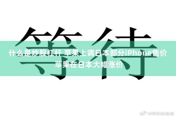 什么是炒股杠杆 苹果上调日本部分iPhone售价 苹果在日本大幅涨价