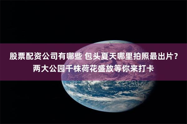 股票配资公司有哪些 包头夏天哪里拍照最出片？两大公园千株荷花盛放等你来打卡