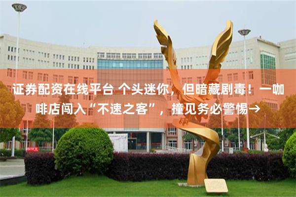 证券配资在线平台 个头迷你，但暗藏剧毒！一咖啡店闯入“不速之客”，撞见务必警惕→