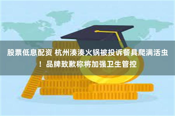 股票低息配资 杭州湊湊火锅被投诉餐具爬满活虫！品牌致歉称将加强卫生管控