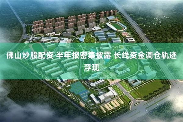 佛山炒股配资 半年报密集披露 长线资金调仓轨迹浮现