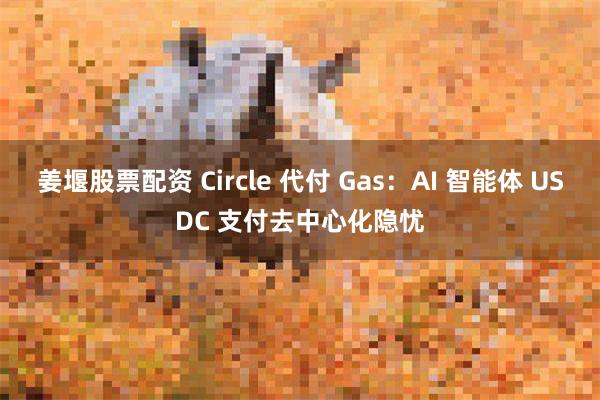 姜堰股票配资 Circle 代付 Gas：AI 智能体 USDC 支付去中心化隐忧