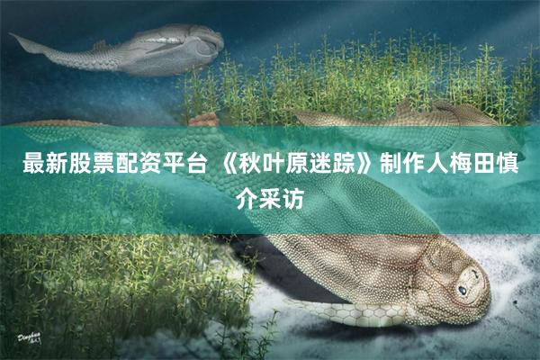 最新股票配资平台 《秋叶原迷踪》制作人梅田慎介采访