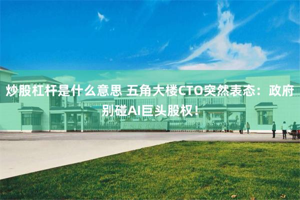 炒股杠杆是什么意思 五角大楼CTO突然表态：政府别碰AI巨头股权！