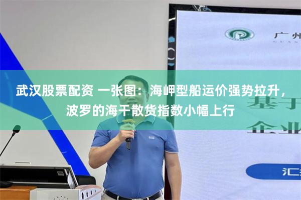 武汉股票配资 一张图：海岬型船运价强势拉升，波罗的海干散货指数小幅上行
