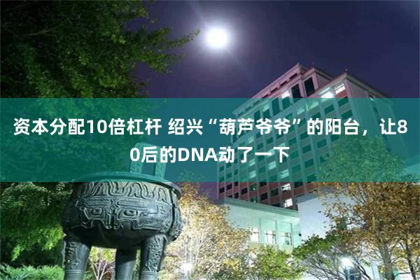 资本分配10倍杠杆 绍兴“葫芦爷爷”的阳台，让80后的DNA动了一下