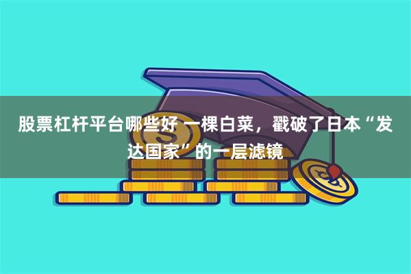 股票杠杆平台哪些好 一棵白菜，戳破了日本“发达国家”的一层滤镜