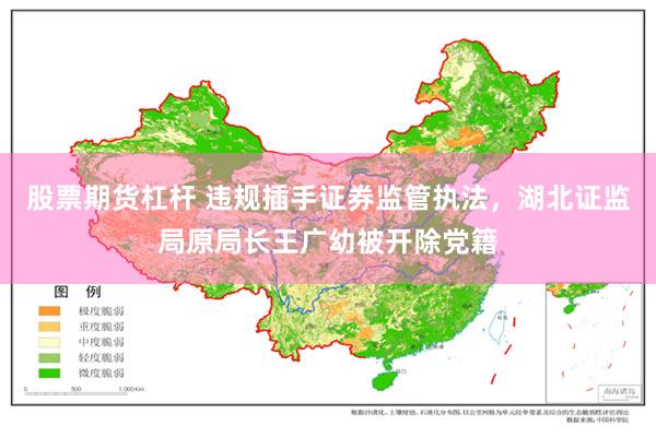 股票期货杠杆 违规插手证券监管执法,湖北证监局原局长王广幼被开除党籍