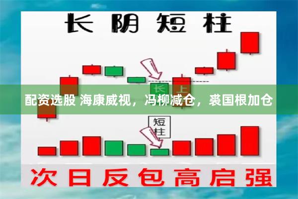 配资选股 海康威视，冯柳减仓，裘国根加仓
